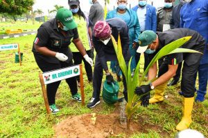 Tree planting- LagosPost.ng