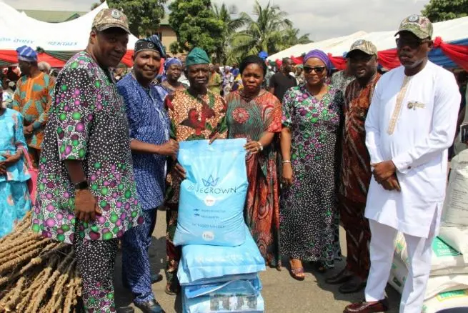Lagos-CARES initiative kicks off to support farmers, combat food insecurity