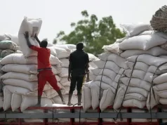 FG donates 20 trucks of rice to each state, Abuja FG - lagospost.ng