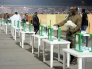 A laughing stock called party primaries… party