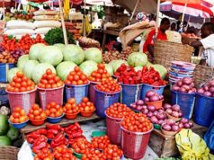 Nigeria Inflation Eases to 15.91% Despite Food Price Surge Nigeria