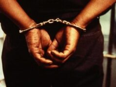 Man, 45, Faces Court Over Alleged N3m Visa Fraud Visa Fraud